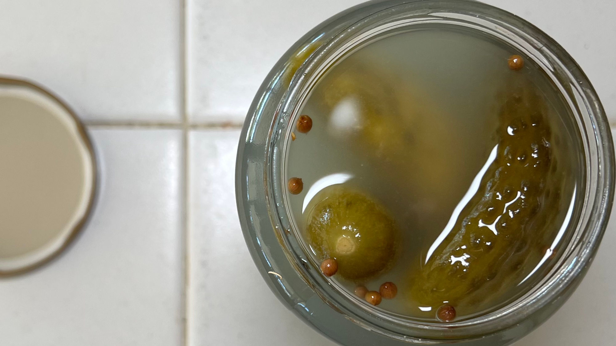 Kosher Brine Bubbies Cloudy