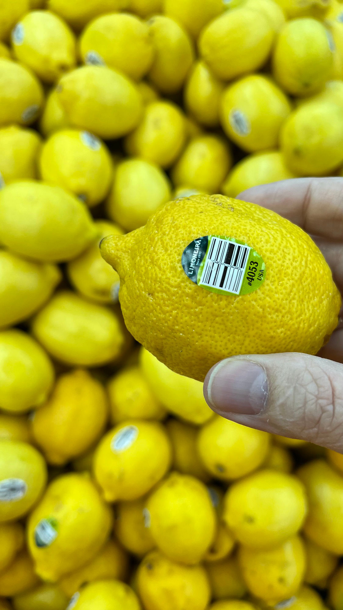 Rough Lemons Rough
