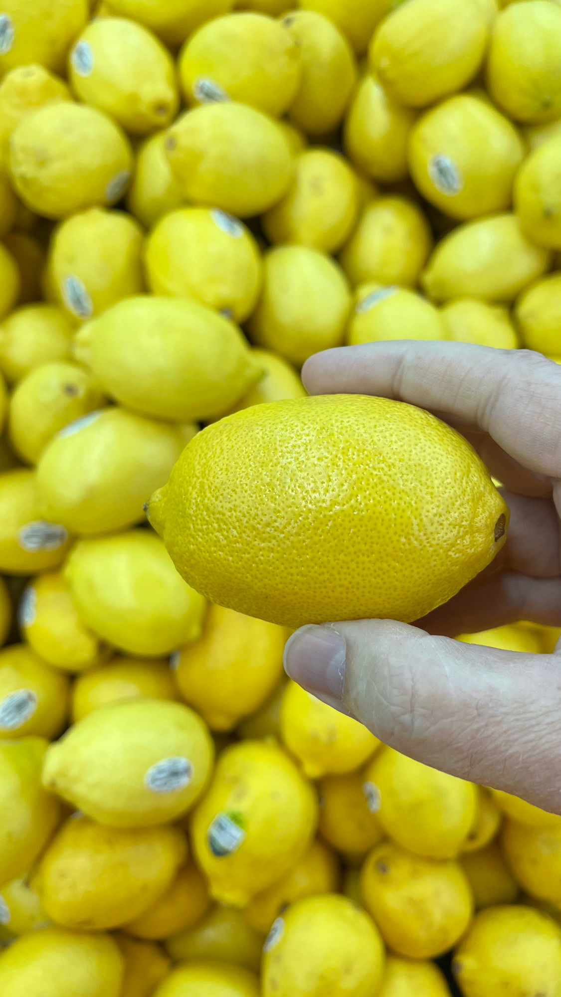 Smooth Lemons Smooth