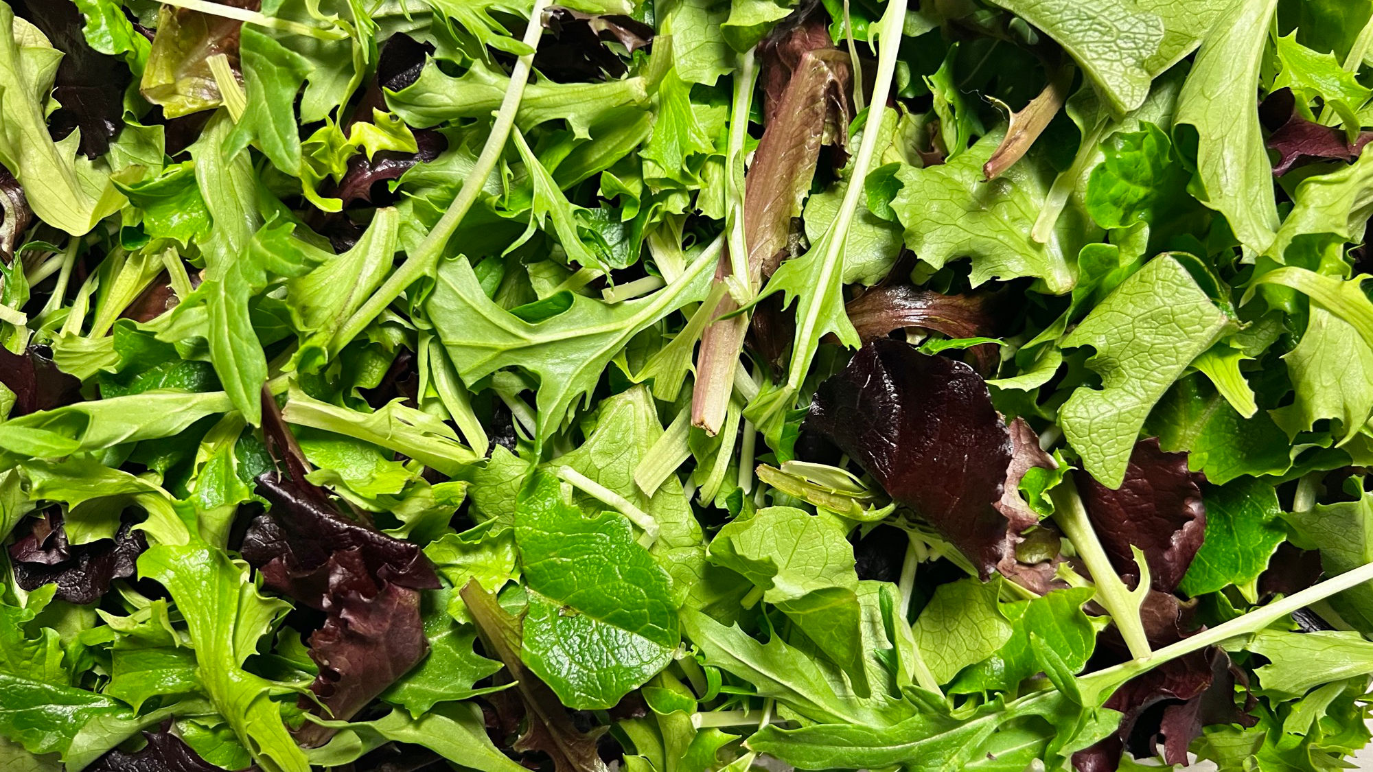 Lettuce