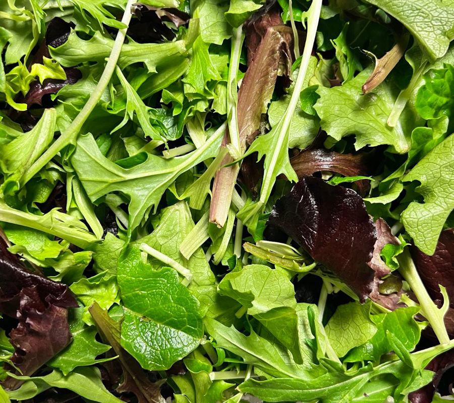 Lettuce