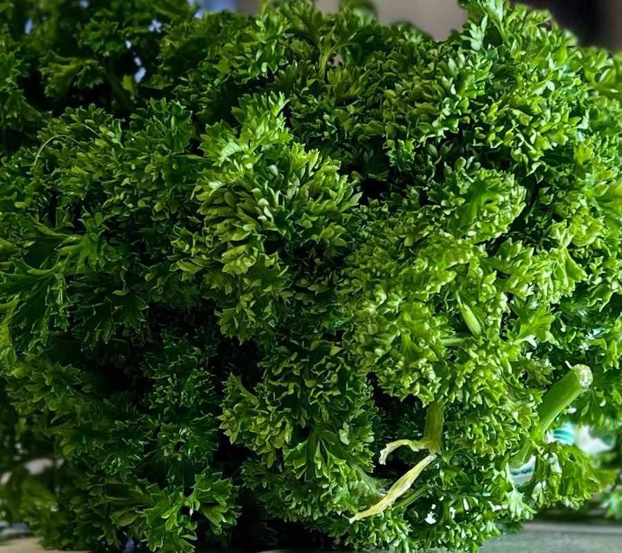 Fresh Parsley