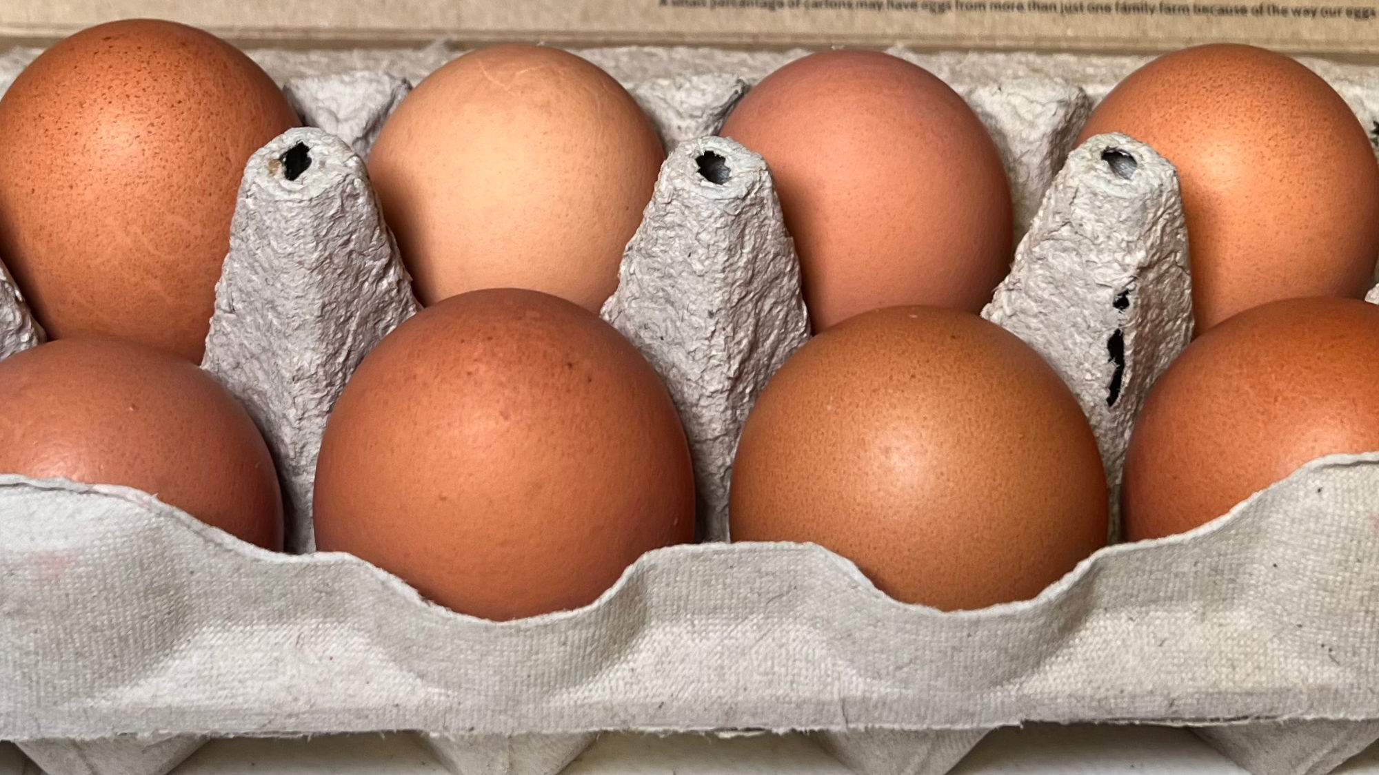 Eggs