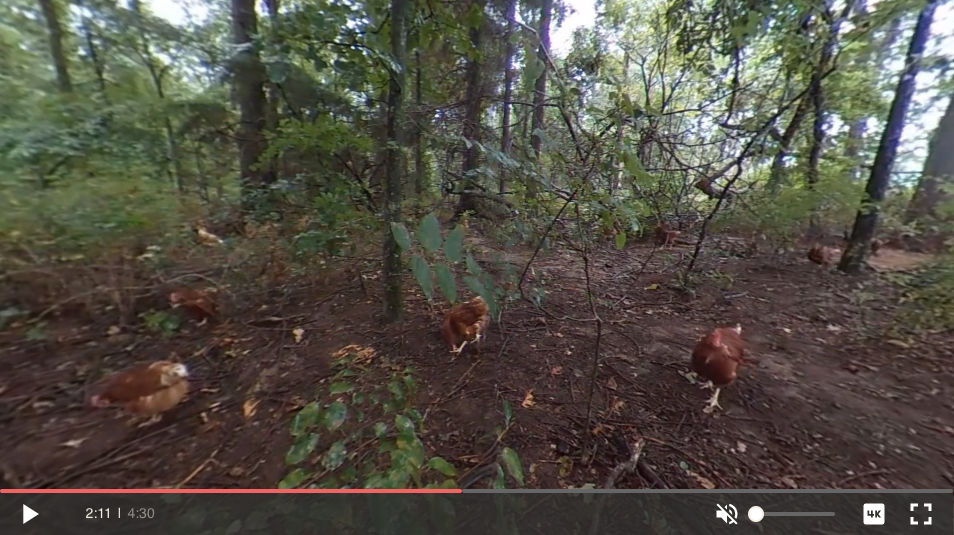 Vital Farms 360 view