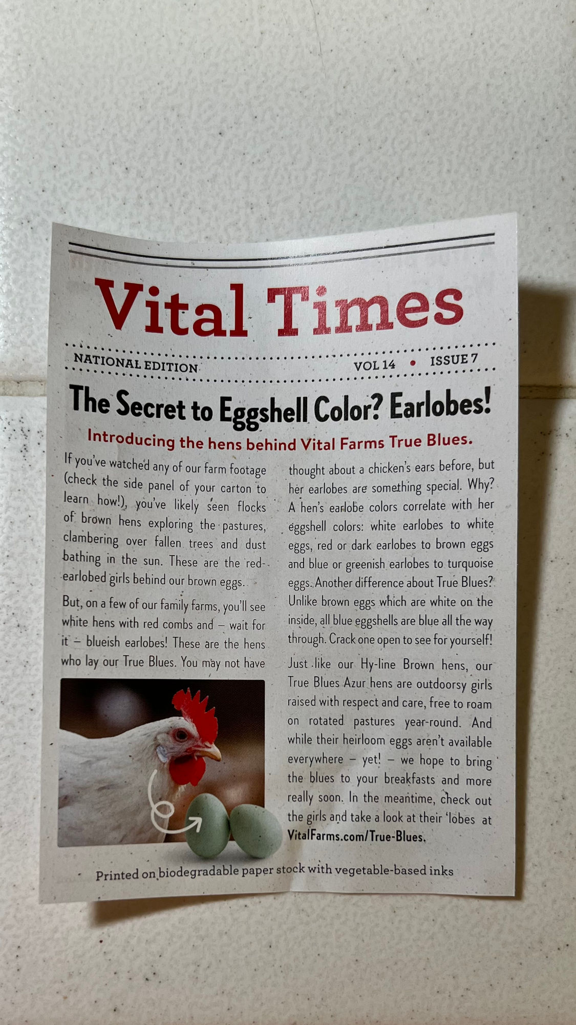Eggshell Color Vital Farms Eggs Eggshell Color