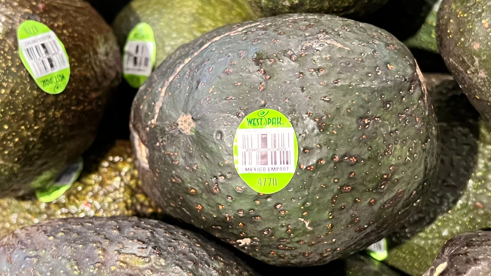 Westpak Avocados Westpak