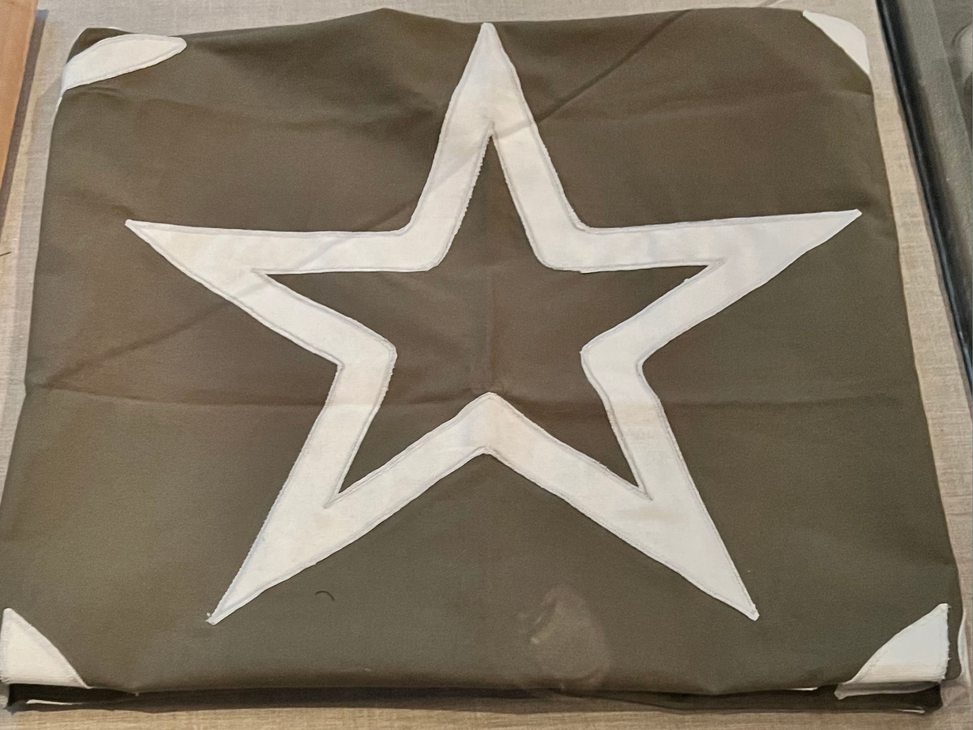 Captain America Camp Lehigh Flag