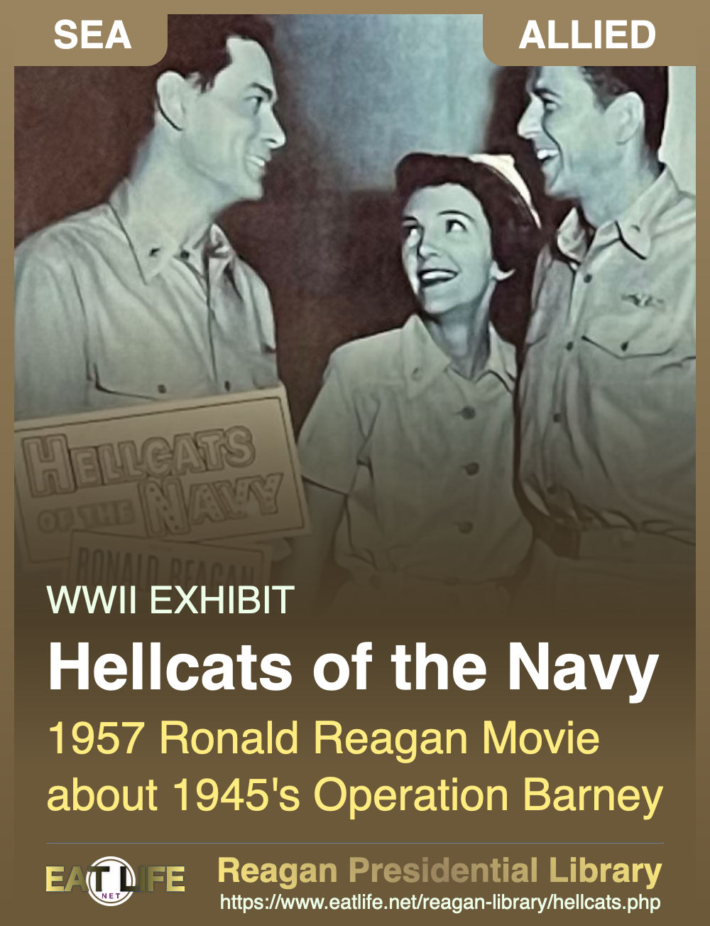 Hellcats of the Navy