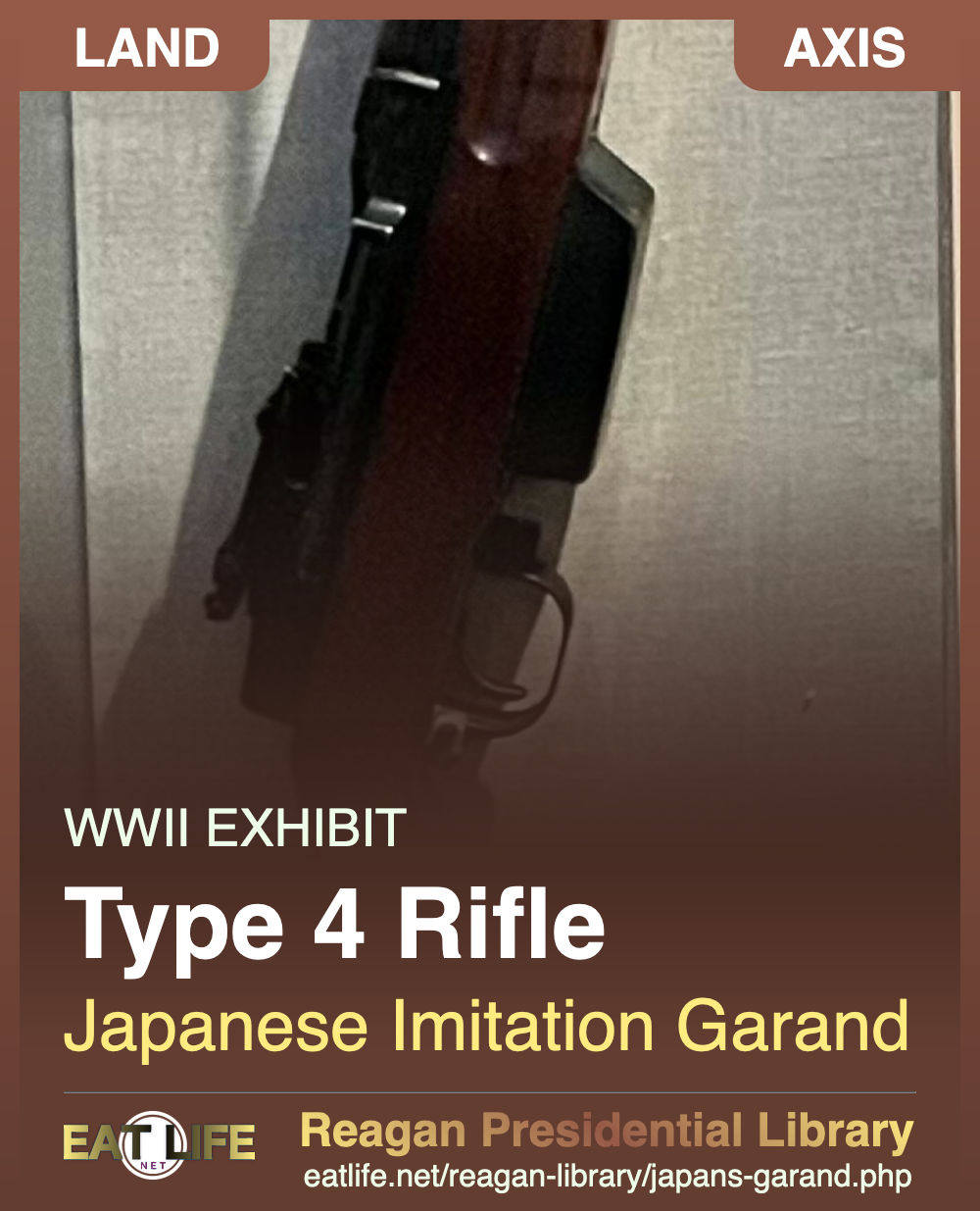 Type 4 Rifle
