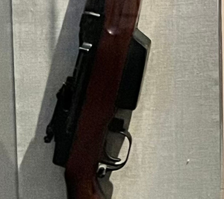 Type 4 Rifle