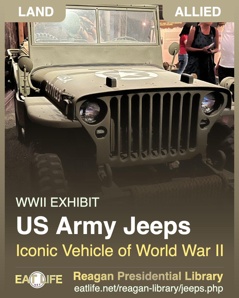 US Army Jeeps