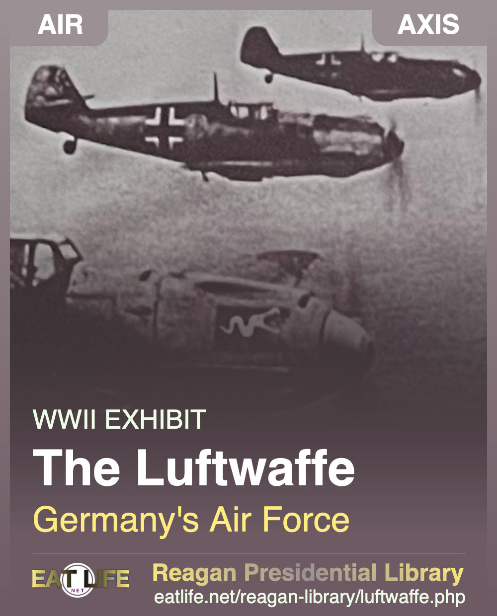 The Luftwaffe