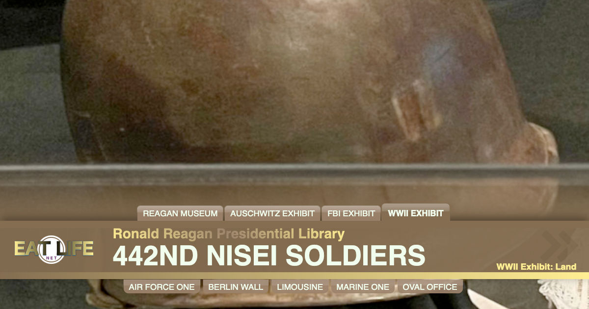 442nd Nisei Soldiers