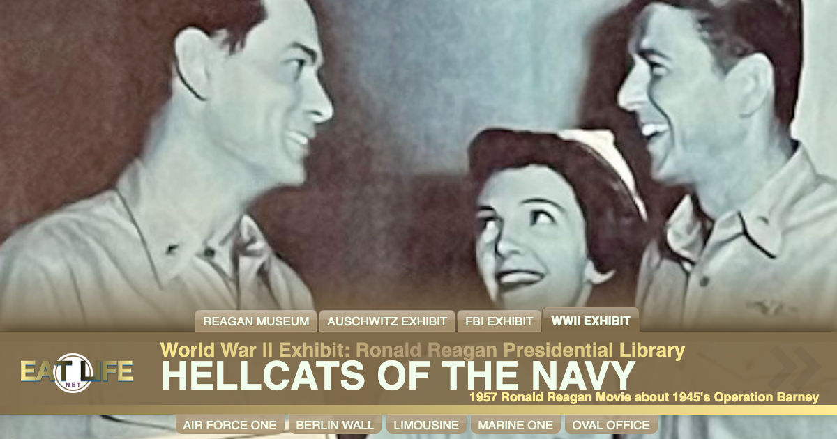 Hellcats of the Navy