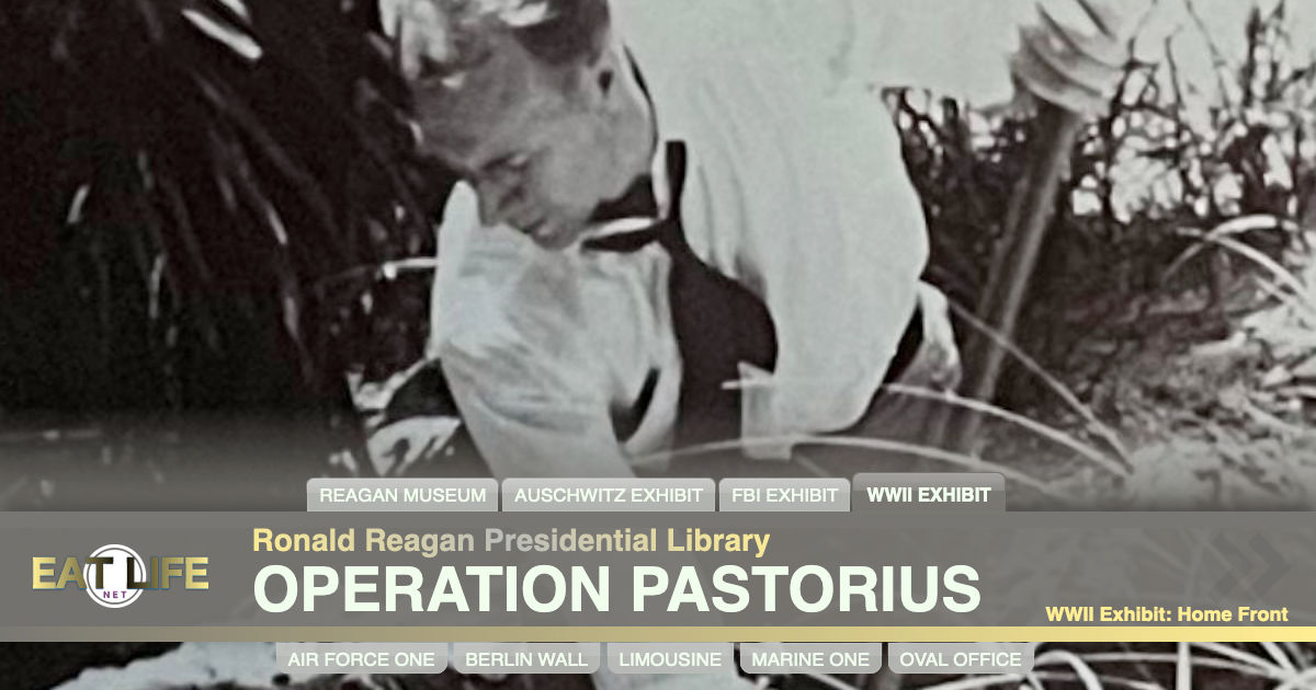 Operation Pastorius
