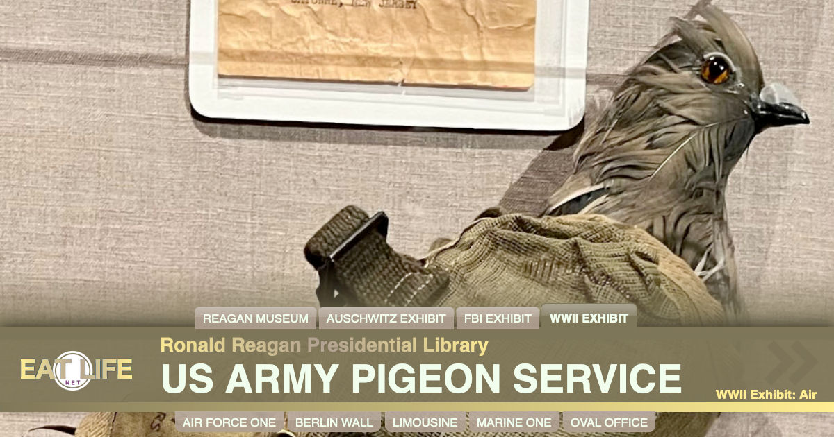 US Army Pigeon Service