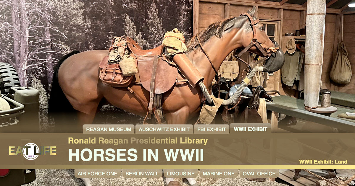 Horses in WWII