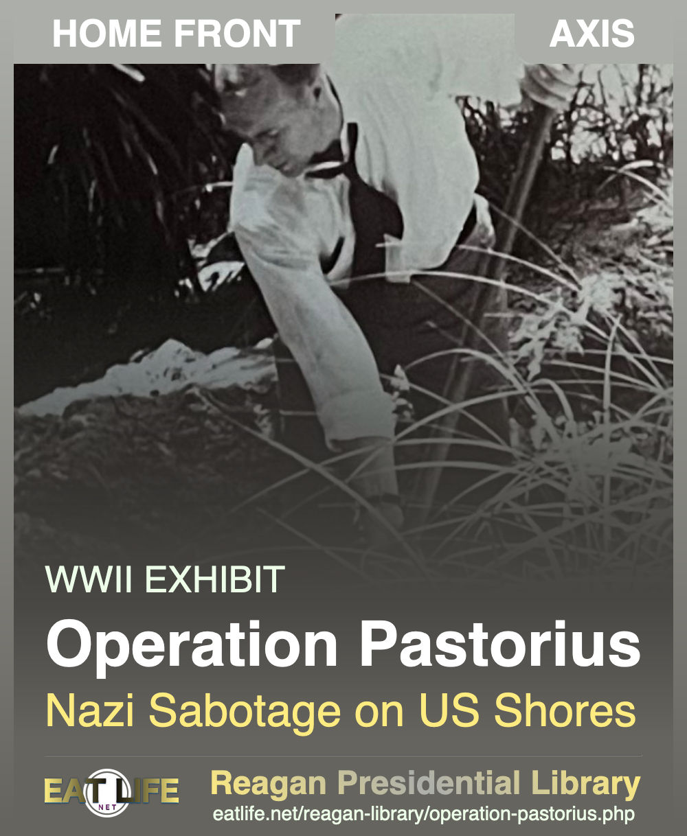 Operation Pastorius