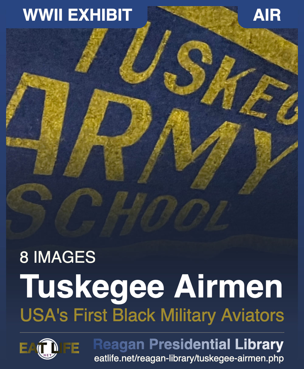 Tuskegee Airmen