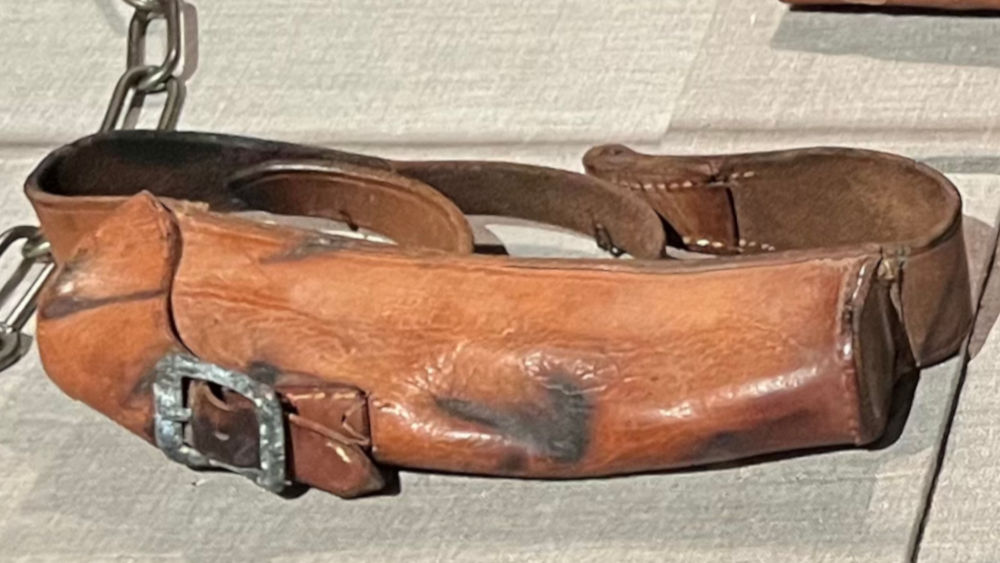 Collar and Muzzle War Dogs Collar and Muzzle