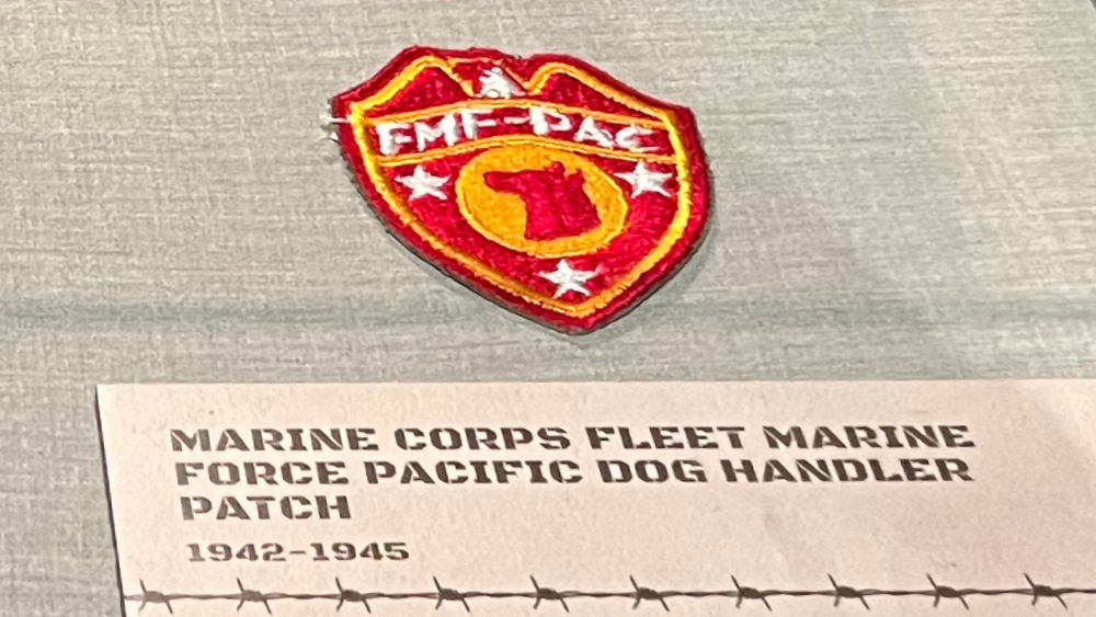 War Dogs FMF-PAC