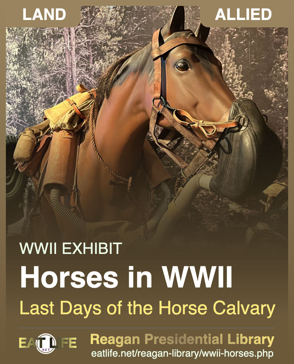 Horses in WWII