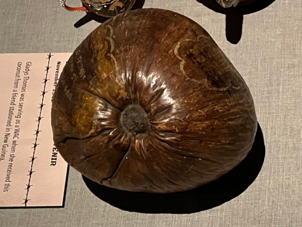 WWII Pacific Coconut