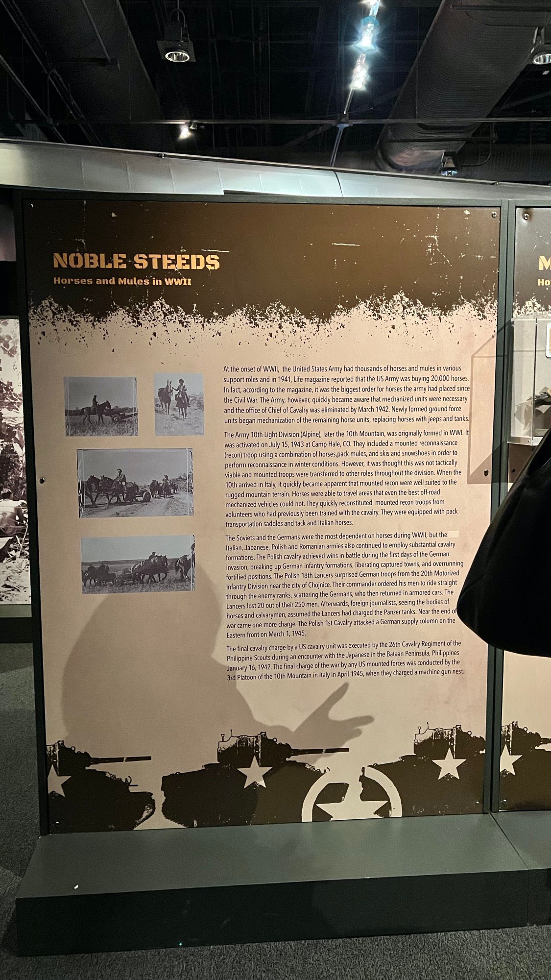 WWII Noble Steeds