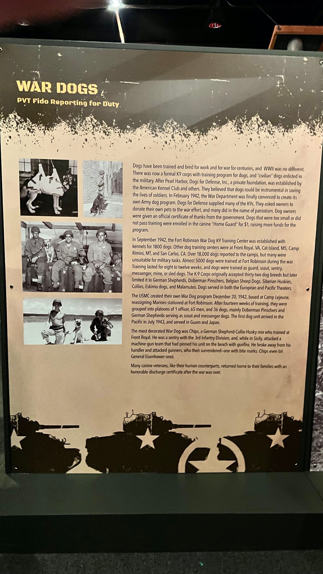 War Dogs WWII War Dogs